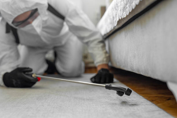 Professional Cockroach Control technician working in Sanford, ME