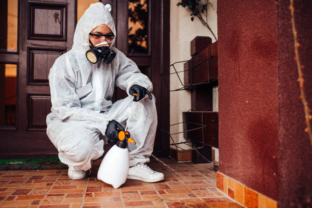Reliable Cockroach Control contractor in Sanford, ME by Nex Pest Control